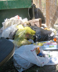 trash