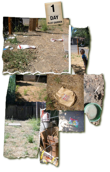 garden collage
